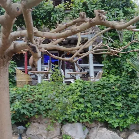 Mare Maravella Costa Brava Nature טורדרה