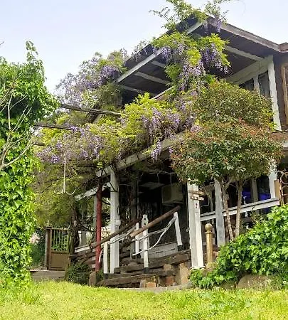 Villa Mare Maravella Costa Brava Nature