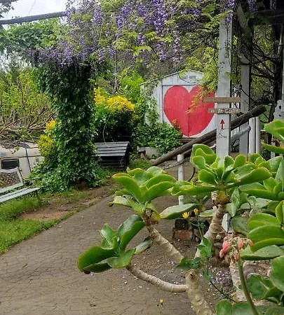 Villa Mare Maravella Costa Brava Nature